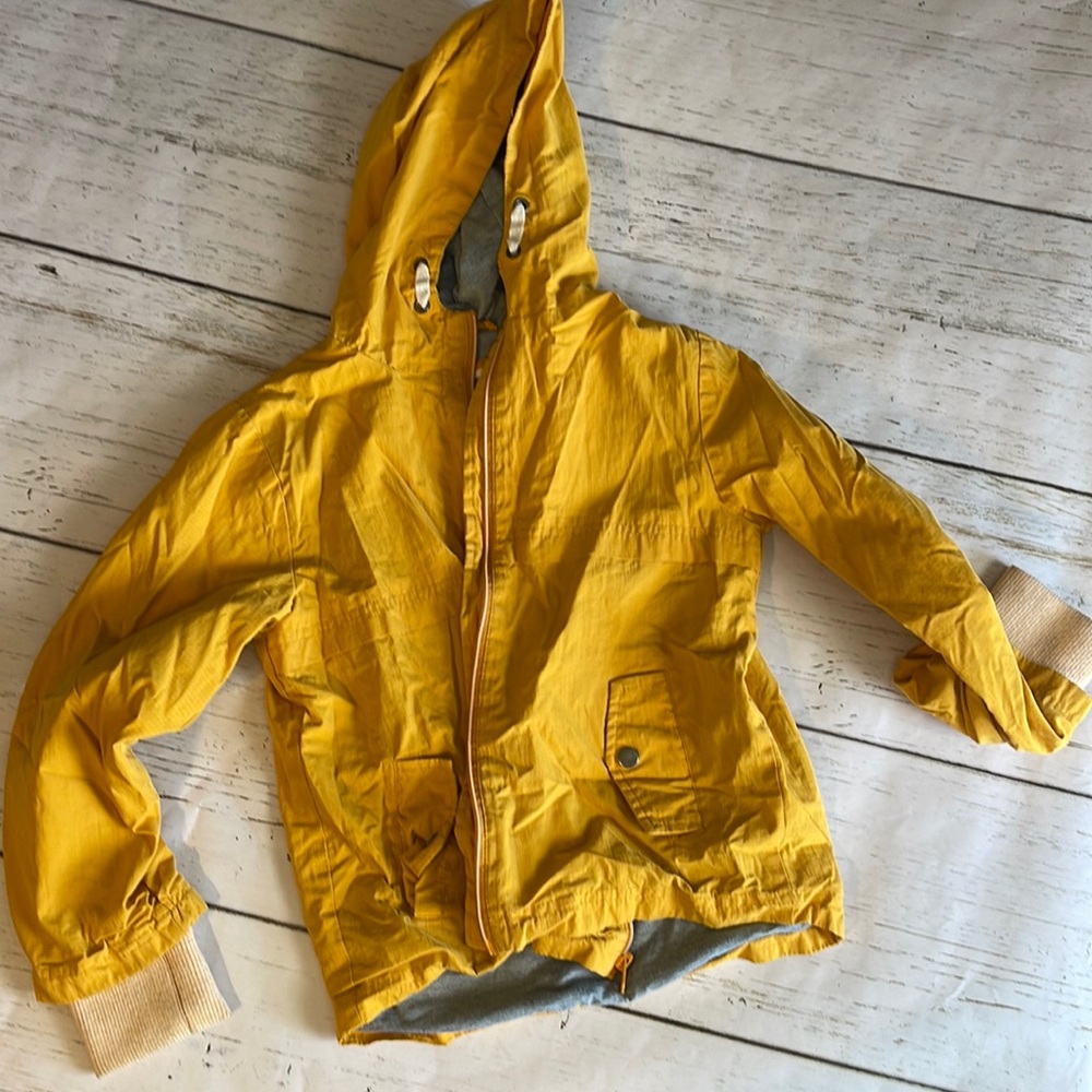 Cat and jacket yellow rain jacket